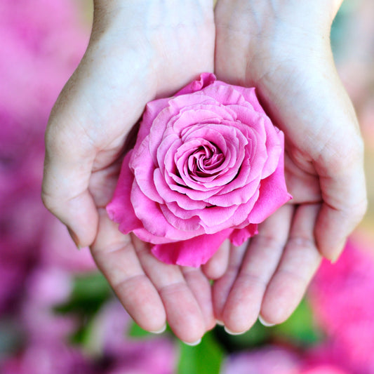The Science of Serenity: Exploring the Cognitive Benefits of Rose Water