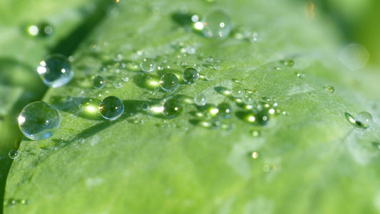 Fresh & Natural Acne Relief